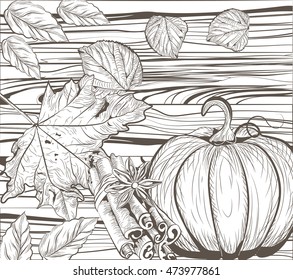 Pumpkin Autumn Vintage card background. Autumnal leaves on Wood background. Vector hand drawn engraved technique. Retro Season Flavors