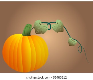 Pumpkin Background