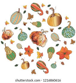 Pumpkin background for the festival. Template of pumpkins in different styles and shapes. Vector in color.