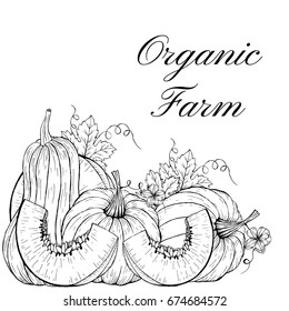 Pumpkin background. Hand drawn Doodle brushes and custom typography for your designs: flyers, labels, posters, invitations, postcards, etc.