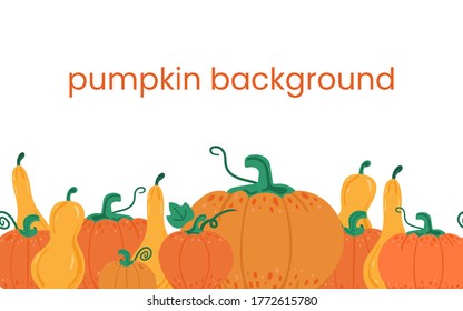 Fondo de calabaza. Pampanas naranjas aisladas en blanco. Cosecha otoñal. Para el diseño de halloween y día de acción de gracias. Cartel horizontal de dibujos animados de vectores planos