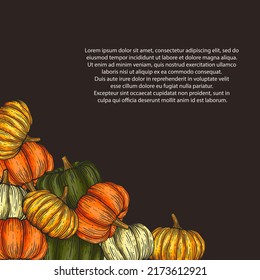 Pumpkin background, various pumpkins, on a dark background, vector illustration.