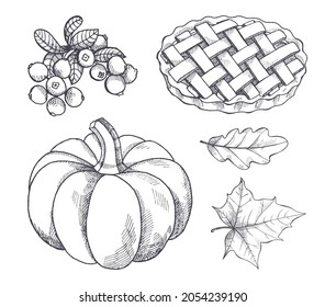 Pumpkin and baked pie, cranberry berry with leaves monochrome sketches outline set vector. Pastry sweet dessert and vegetable symbol of Halloween