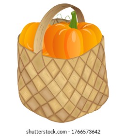 Pumpkin in the basket on a white background. Harvesting for the winter. Autumn harvest. Vector illustration