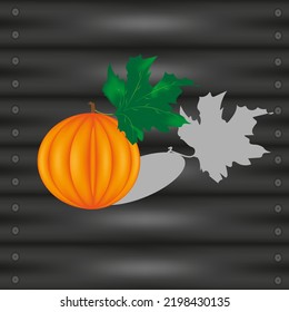 Kürbis mit schönem grünem Blatt auf schwarzem Holzhintergrund mit Schatten und Kopienraum. Gemüse-3-D-Hintergrund mit Gourd. Vektorgrafik mit Melon Ethiopian.