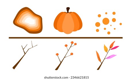 Pumpkin berries twigs and more autumn and cottage core graphic design elements.