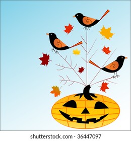 pumpkin with birds