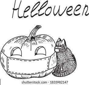 Pumpkin, black cat, helloween party. Vector isolated design elements on white background. Concept for logo, print, invitation 