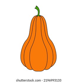 Calabaza con un contorno negro. Ilustración vectorial de una calabaza dibujada a mano sobre un fondo blanco. Un elemento para el diseño decorativo de otoño, una invitación para Halloween.Icono de calabaza Fondo blanco 