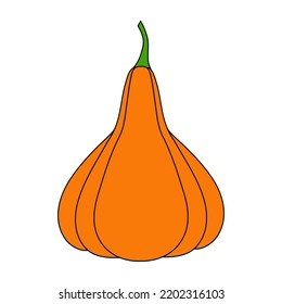 Calabaza con un contorno negro. Ilustración vectorial de una calabaza dibujada a mano sobre un fondo blanco. Un elemento para el diseño decorativo de otoño, una invitación para Halloween.Icono de calabaza Fondo blanco 