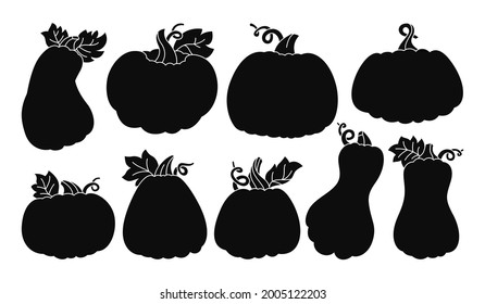 Pumpkin black silhouette set. Autumn glyph ripe whole pumpkins. Halloween or Thanksgiving Day festival symbol harvest collection. Agricultural hand drawn colorful vegetable icon vector