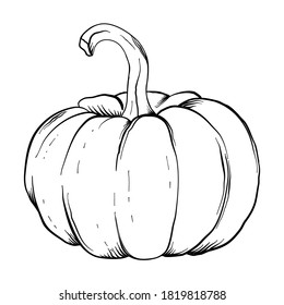 Pumpkin black and white icon. Doodle Pumpkin sketch. Vector illustration of vegetable outline. Simple monochrome image. Hand drawn ink illustration