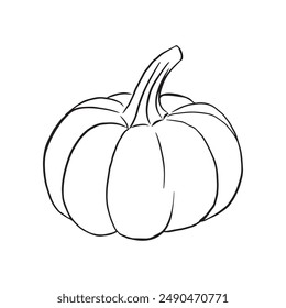 Icono de calabaza blanco y negro. Dibujo de Calabaza Doodle. Ilustración vectorial del contorno vegetal. Sencilla Imagen monocroma. Ilustración de tinta dibujada a mano