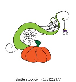 Rama de calabaza con telaraña y telaraña, diseño vectorial para banner, afiche, tarjeta de saludo, invitación de fiesta.Elemento tradicional de Halloween. Ilustración vectorial.