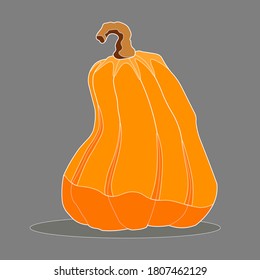 pumpkin bright unusual festive orange