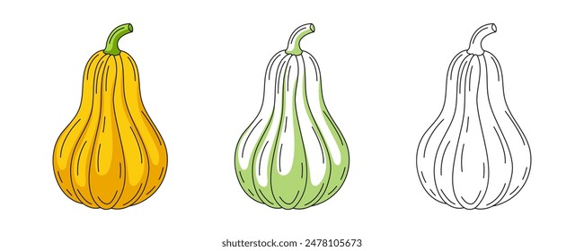 Pumpkin or butternut squash, colorful and line icons set. Farm vegetable vector outline icon, monochrome and color illustration. Healthy nutrition, organic food, vegetarian product. For coloring book