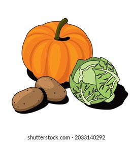 Pumpkin, cabbage, potatoes. Vector 3d sketch line isometric, color icon illustration, flat style. Creative design idea and elements for infographics and website.