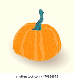 Pumpkin card. Vector illustration of pumpkin isolated on white background.