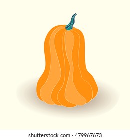 Pumpkin card. Vector illustration of pumpkin isolated on white background.