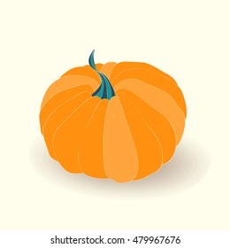 Pumpkin card. Vector illustration of pumpkin isolated on white background.