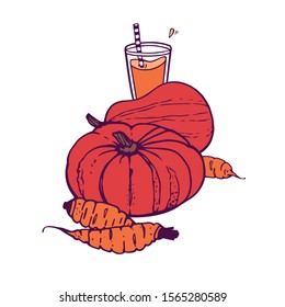 pumpkin and carrot juice or smoothie with a 2 whole pumpkin and 3 carrots. hand-drawn in cartoon style, colored artwork isolated on white background,  in vector.