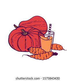 pumpkin and carrot juice or smoothie with a 2 whole pumpkin and 3 carrots. hand-drawn in cartoon style, colored artwork isolated on white background,  in vector. Stock image.
