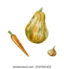 Abóbora, cenoura, cebola. Aquarela de colheita de outono. Ilustração vetorial desenhada à mão de vegetais. Para embalagens de alimentos, rótulos, banners, cartazes.