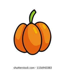 Pumpkin cartoon icon with strokes.  vector illustration for children book. Game art