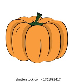 pumpkin in cartoon style isolated objects. vector
