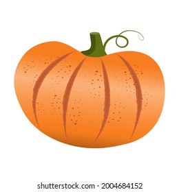Calabaza con estilo de caricatura sobre fondo blanco. Vector de fondo natural. Hortalizas orgánicas. Temporada de cosecha. Ilustración vectorial.
