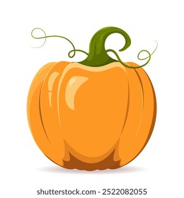 Pumpkin in cartoon style. Pumpkin on white background. Pumpkin in flat style. Bright pumpkin isolate with shadows and highlights.