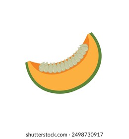 Vector de dibujos animados de calabaza. Ilustración de calabaza. Calabaza decorativa, entera y cortada estilo shabby fruta