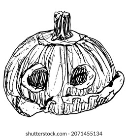 Pumpkin carved as human skull. Halloween design. Jack-o'-lantern. Hand drawn linear doodle rough sketch. Black silhouette on white background.