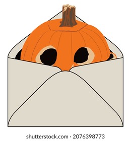 Pumpkin carved as human skull inside paper envelope. Funny Halloween greeting design. Jack-o'-lantern. Creative concept. Isolated vector illustration.