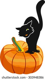 Pumpkin with cat