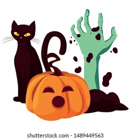 pumpkin cat happy halloween celebration