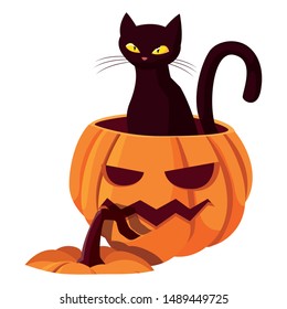 pumpkin cat happy halloween celebration