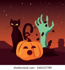 pumpkin cat happy halloween celebration
