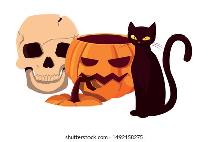 pumpkin cat happy halloween celebration