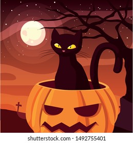 pumpkin cat happy halloween celebration