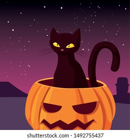 pumpkin cat happy halloween celebration