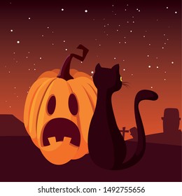 pumpkin cat happy halloween celebration