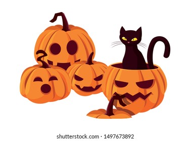 pumpkin cat happy halloween celebration