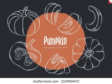 Pumpkin, Chalk sketches, Ingredient Collection