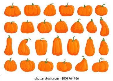 Pumpkin collection. Cartoon orange pumpkin set isolated vector icon on white. Halloween october holiday and thanksgiving decorative vegetable various shape and size. Autumn gourd harvest illustration