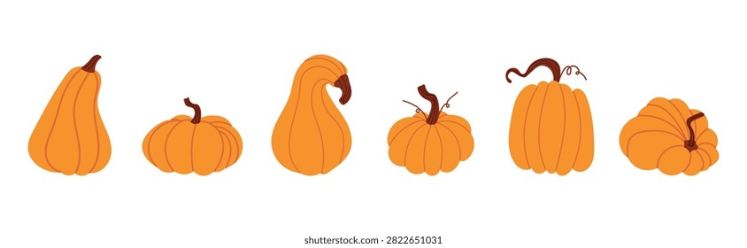Pumpkin collection with decorative autumn pumpkins and squash. Cute fall harvest vegetables for Thanksgiving, Halloween, seasonal decor. Flat vector illustration isolated on white background.