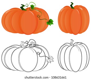 Pumpkin in color and pumpkin in outline