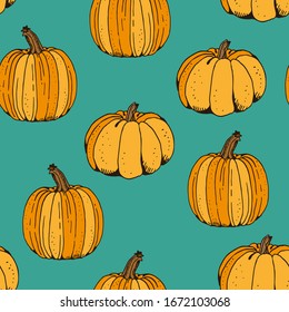 Pumpkin color vector seamless pattern, hand drawn squash sketch isolated on green background