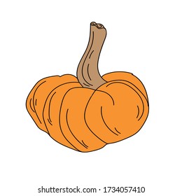 Pumpkin. Colored pumpkin. Vector image.