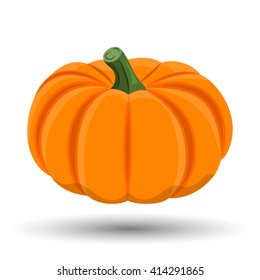 Pumpkin Colorful Icon